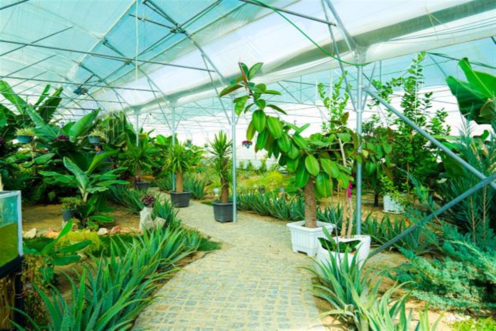 دهکده گردشگری گلستانکوه خوانسار