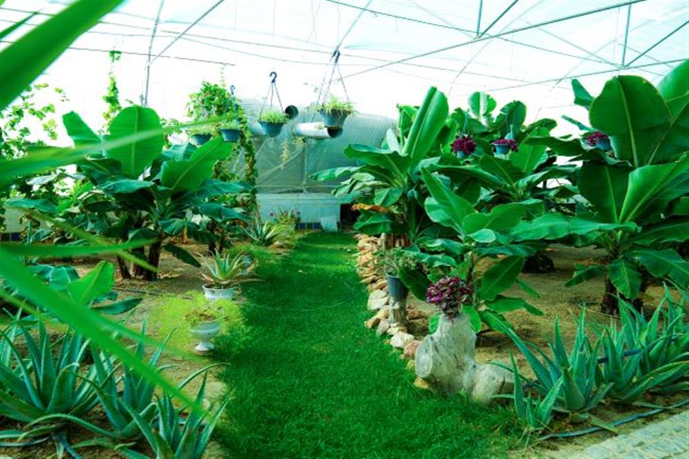 دهکده گردشگری گلستانکوه خوانسار