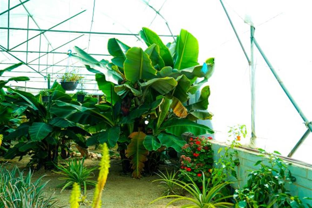 دهکده گردشگری گلستانکوه خوانسار